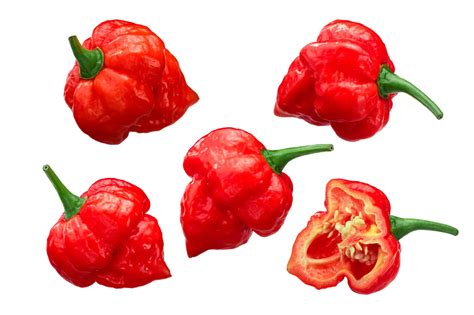 Trinidad Moruga Scorpion - Escala Scoville