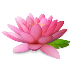 Importance of Lotus – Devshoppe