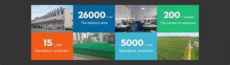 Company Overview - Guangxi Guilin Guimei FDD Agricultural Technology Co ...