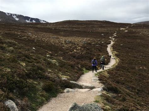 Out in the Hills Day Tours (Aviemore) - 2021 What to Know Before You Go ...