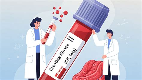 Lower Limb Muscles and Ligaments: What Are the Key Structures and Their Functions?