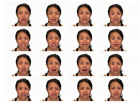 Improving the Accuracy of Automatic Facial Expression Recognition in ...