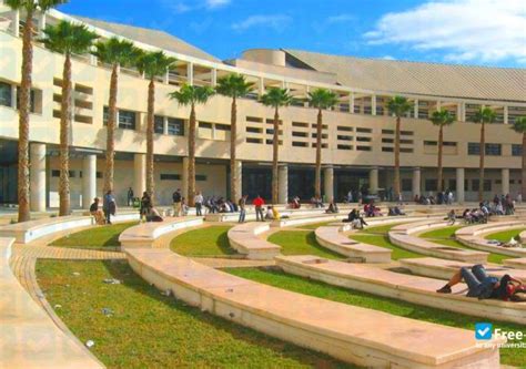 University of Alicante (Alicante, Spain)