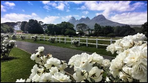 THE AVONTUUR ESTATE RESTAURANT, Somerset West - Menu, Prices ...