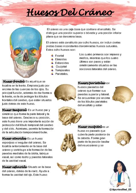 Signos Semiológicos de Irritación Peritoneal: Análisis y Definiciones ...