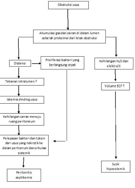 Image result for Paramaters JavaScript