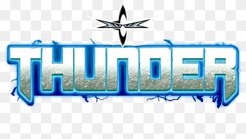 WCW World Heavyweight Championship World Championship Wrestling ...