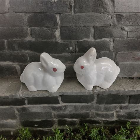 Rabbit sitting ceramic Miniature pair ( white ) — Plant N Pots
