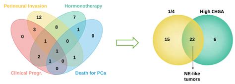 Gene Expression Signature Predictive of Neuroendocrine Transformation ...