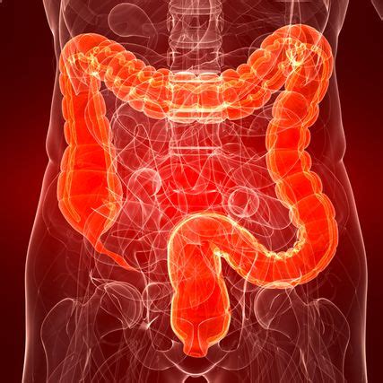 Hoffnungsträger oder Sorgenkinder? Januskinasehemmer und die Sicherhei ...