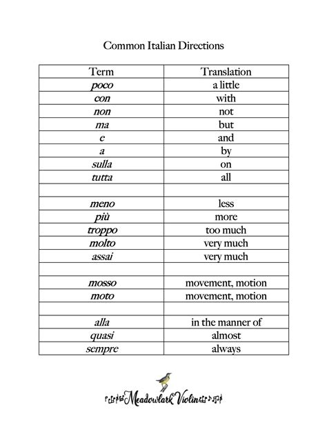Easy Guide to Italian Words in Classical Violin Music — Meadowlark ...