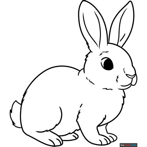 Rabbit in 2025 | Bunny coloring pages, Bunny images, Bunny drawing
