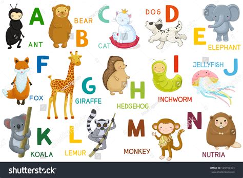 Animals That Start With N - Inspec Wallp Animals