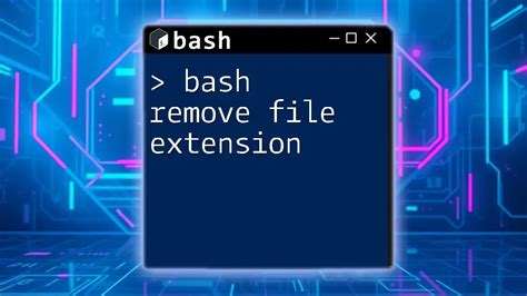 Bash File 的图像结果