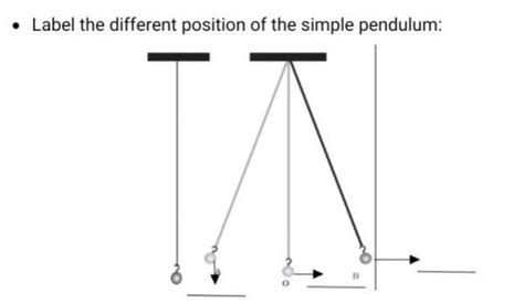 label the given diagram - Brainly.in