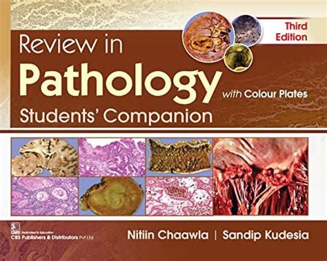 Review in Pathology eBook : Chaawla, Nitin, Kudesia, Sandeep: Amazon.in ...