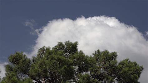Humid 的图像结果