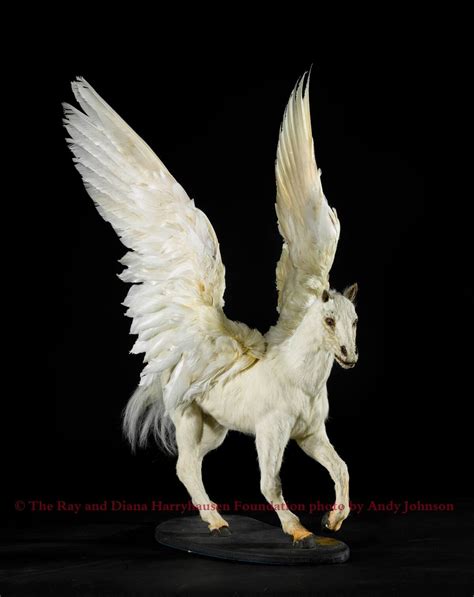 Image result for Moebius Flying Creatures