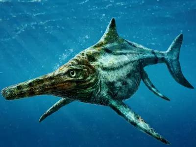 A 94-Million-Year-Old Mystery Of The Marine Dino Ichthyosaur Has ...