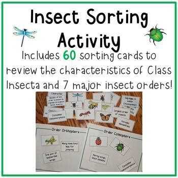 Image result for Insect Sorting
