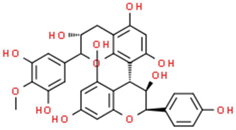 Natural Antimicrobial Agents for Wound Infections Treatment ...