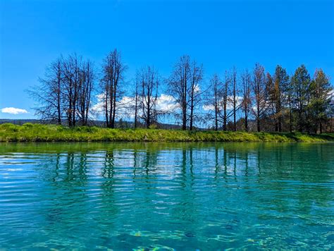 PADDLING SPRING CREEK IN CHILOQUIN