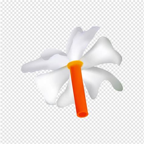 Posterit - Shiuli flower PNG