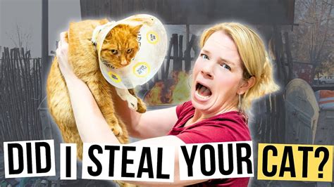 Image result for Clutterbug Channel