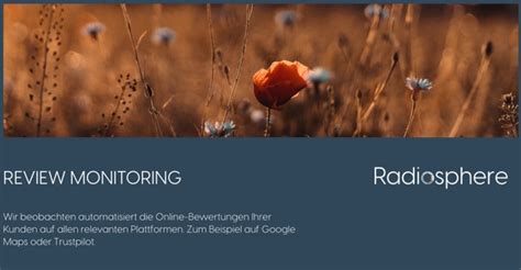 Image result for Monitoring Reviews.com