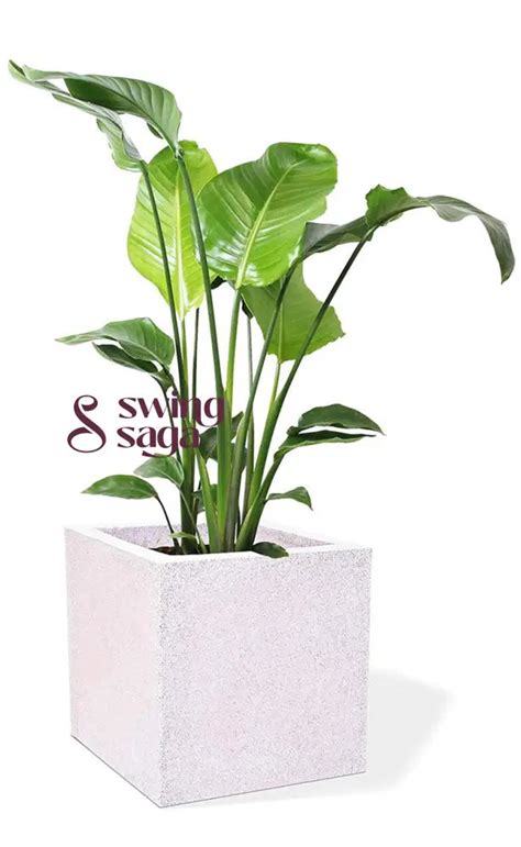 Square Planter – Swing Saga