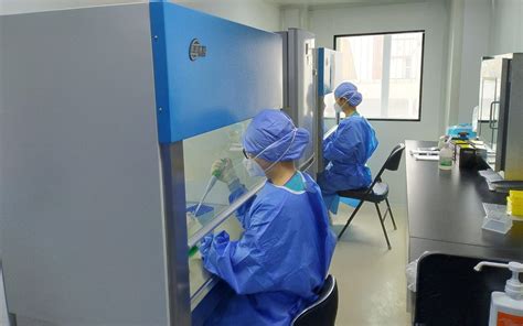 北京朝阳医院核酸检测能力提升 单日单检超万份_手机新浪网