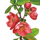 Image result for Color Code Coloring Sheets Spring