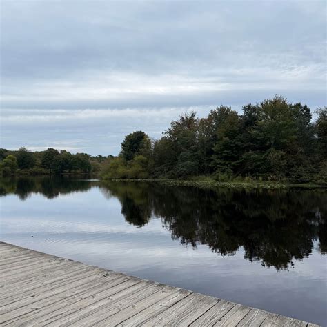 Turkey Swamp Park Camping | Freehold, New Jersey