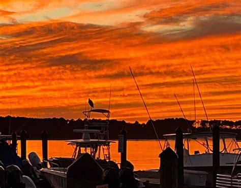 HILTON HEAD DOLPHIN TOURS-TALE HUNTER - All You Need to Know BEFORE You ...