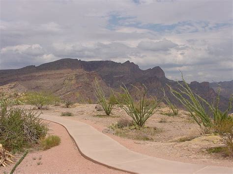 THE BEST Restaurants in Arizona (Updated January 2026)