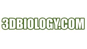 Image result for Mucscl Contraction Animation