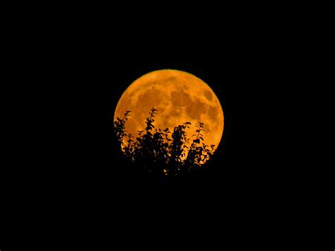 Why Is The Moon Orange : Friday S Full Buck Moon Could Rise Reddish ...