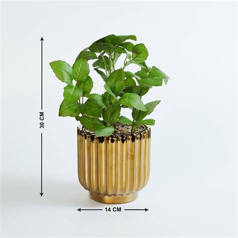 Buy Gardenia Artificial Plant in Pot from Home Centre at just INR 1499.0
