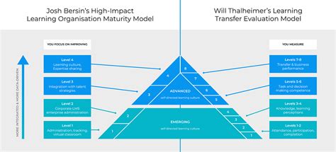 Image result for Learning Organization Maturity Model