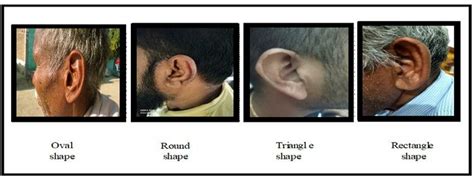 Image result for Extroverted Ears