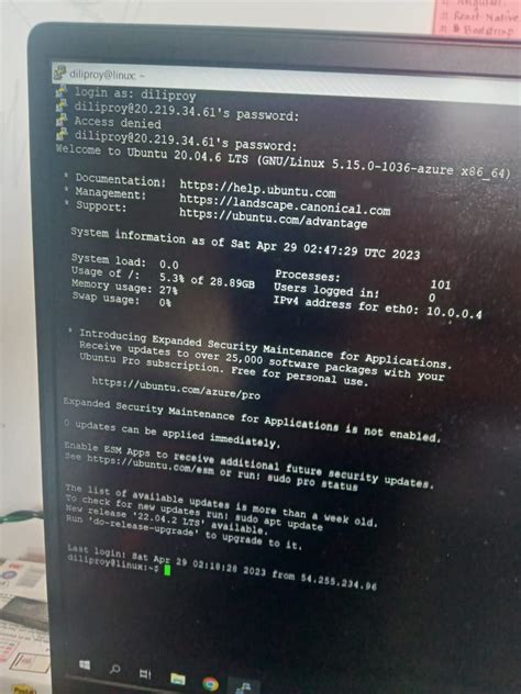 RDP Linux 的图像结果