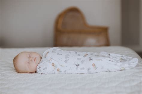 Aden And Anais Swaddle And Hat at Joseph Larrick blog
