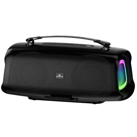 Boomer FX Pro 30W High Fidelity Speaker – Amkette