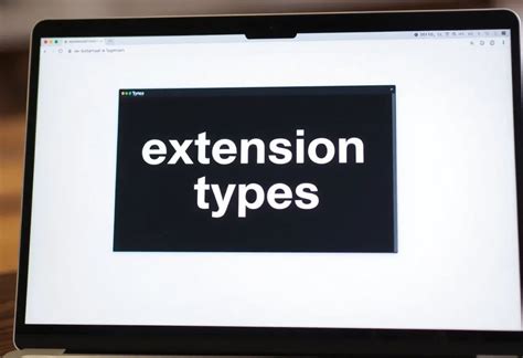 Image result for Extension Types