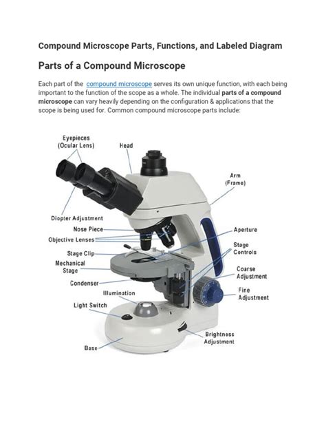 Compound Microscope Parts | PDF | Electromagnetic Radiation | Glass Engineering And Science