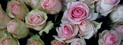 Swearingen Funeral Home