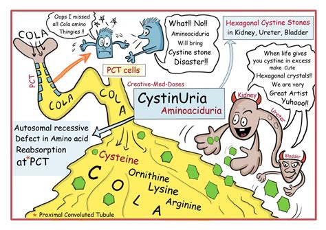 Cystinuria - Creative Med Doses