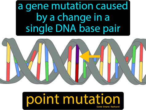 Image result for Point mutation Causes
