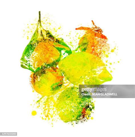 Image result for Lemon Rind Texture
