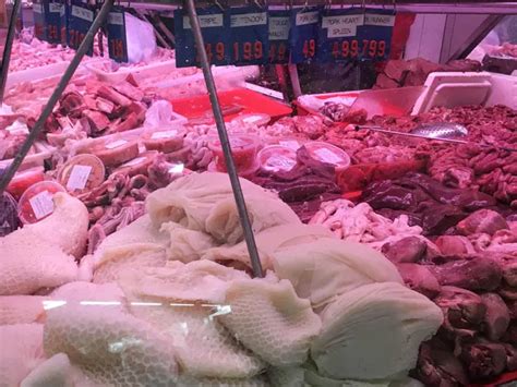 Image result for Springvale Eating Pets